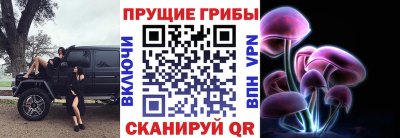наркота  Белёв  Галлюциногенные грибы ЛСД 